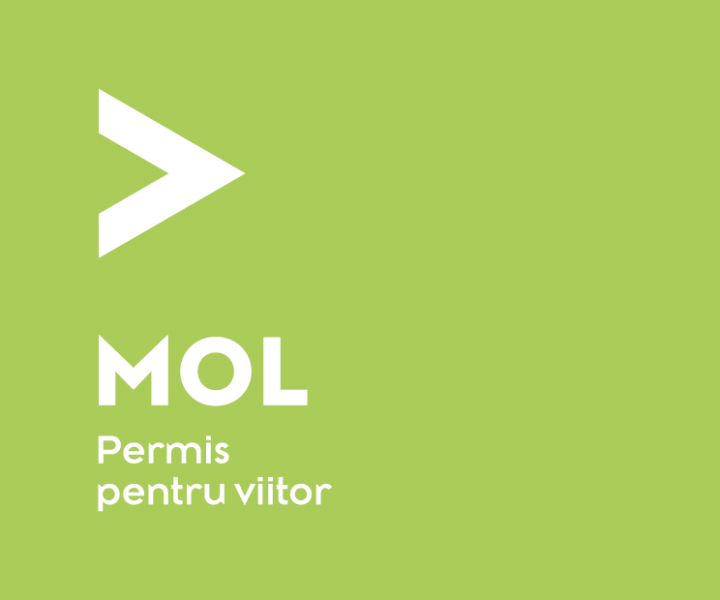 Logo-Permis